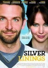 Subtitrare Silver Linings Playbook (2012)
