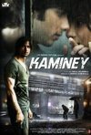 Subtitrare Kaminey - The Scoundrels (2009)