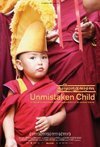 Subtitrare Unmistaken Child (2008)