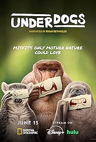 Subtitrare Underdogs - Sezonul 1 (2025)