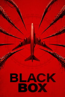Subtitrare Black Box (Flight 298) (2026)