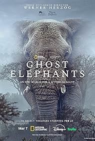 Subtitrare Ghost Elephants (2025)