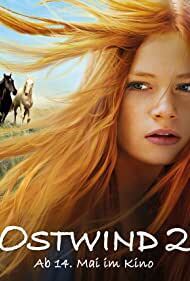 Subtitrare Windstorm 2 (2015)