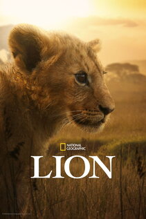 Subtitrare Lion - Sezonul 1 (2026)