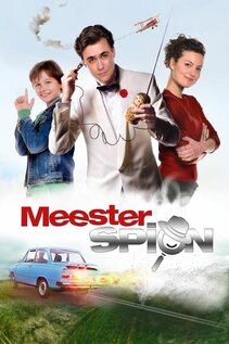 Subtitrare MeesterSpion (Master Spy) (2016)