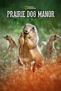 Subtitrare Prairie Dog Manor - Sezonul 1 (2019)